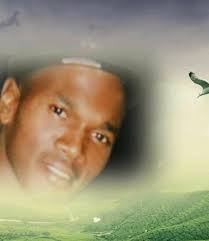 Harold Martin Obituary (2015)