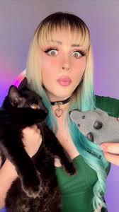 Mi Gato Trae Un Raton