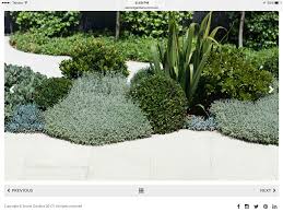 Beautiful Plant Selection From The Secret Garden In Sydney Dry Garden Drought Tolerant Garden Landscape Design