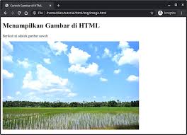 Belajar Html 08 Cara Menampilkan Gambar Di Html