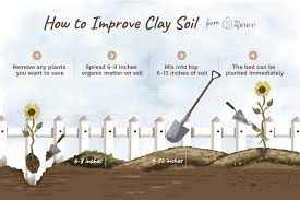 7 ways to improve soil quality. Understanding Clay Soil And How To Improve It