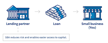 Loans