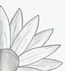 I always try to provide the most easiest way possible for all those who want to learn drawing. Pin By Jennifer Cook On Drawings Art Drawings Simple Art Drawings Sketches Simple Daisy Drawing