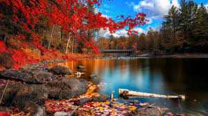 Maybe you would like to learn more about one of these? 2560x1440 Fall Wallpapers Top Free 2560x1440 Fall Backgrounds Wallpaperaccess
