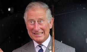 Compared to the Queen 039 s 344 engagements in 2013 Prince Charles has had over 500 - prince-charles-busiest-ro-451533