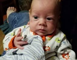 Seth's smile is gone, but he still responds with yes and no sounds