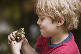 Can Amphibians Change Their Sex?