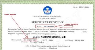Seleksi asn 2021 akan difokuskan untuk mengisi kebutuhan tenaga teknis. Sertifikat Pendidik Serdik Benarkan Menjadi Persyaratan Wajib Rekrutment Cpns Berikutnya Info Pendaftaran Cpns Online 2021 2022