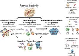 Image result for Oncogene
