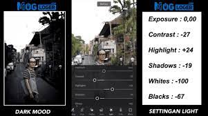 Jadi jika anda ingin menggunakan rumus ini , di sarankan untuk foto yang memiliki foto yang terfokus di objek utama seperti foto selfie orang , atau binatang dan obyek utama lainnya. Dark Moody Cara Edit Rumus Dan Preset Gratis Thelastsurvivors
