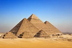 Image result for Stolzia cupuligera