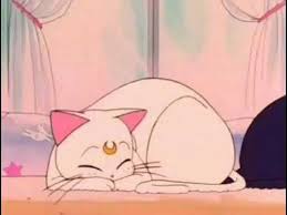 mintea youtube sailor moon cat sailor moon aesthetic sailor moon