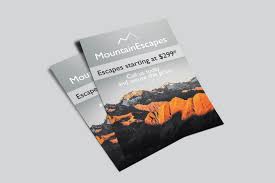 Printing flyers exactly according to the needs and requirements of our clients is exactly where our focus lies. Flyers Printed In 24 Hours Easy Signs