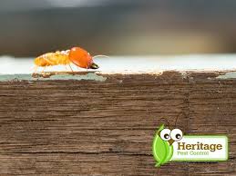 Alco animal & pest control uses environmentally friendly products to ensure safe commercial pest control in nj. Heritage Pest Control 210 W Parkway Unit 6 Pompton Plains Nj Pest Control Mapquest