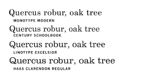 Type design information compiled and maintained by luc devroye. Computer Modern Wikiwand