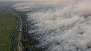 Indonesia kini berada dalam keadaan darurat lingkungan. Para Cukong Lahan Dituding Penyebab Kebakaran Hutan Di Sumatera Dan Kalimantan Serambi Indonesia