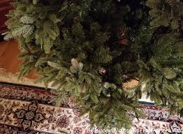 (10) new item on sale. This Fraser Fir Christmas Tree Isn T What I Expected Between Naps On The Porch