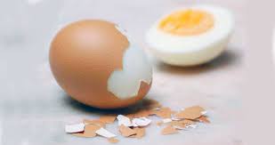 Check spelling or type a new query. L Uovo Sodo Preparazione E Somministrazione Agli Uccelli