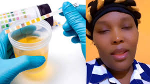 Toujou gade pipí nou