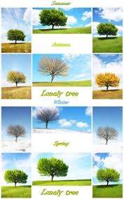 Maybe you would like to learn more about one of these? Summer Season Free Stock Photos Download 8 604 Free Stock Photos For Commercial Use Format Hd High Resolution Jpg Images