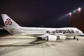Pin By Arlette Lang On Letzebuerg Beluga Whale Beluga Air Cargo