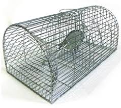 Check out these fab rat cage ideas to find the best one for you. Monarch Type Rat Cage Amazon Co Uk Diy Tools