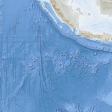 Image result for Eschenbachia