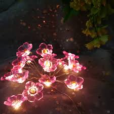 Maybe you would like to learn more about one of these? Flcsied Pink Cherry Blossom Fairy String Lights 10ft 30 Leds Battery Operated Fun Room Lights For Spring Decoration With Timer Pink Cherry Blossom Buy Online In Aruba At Aruba Desertcart Com Productid 107305674