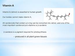 Plant cells are the sole producers of alkaloids and anthocyanins. Plants Plant Tissue Culture Prezentaciya Onlajn