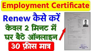 Create an employment application with a downloadable job application template for word. Tnvelaivaaippu Online Registration Card Renewal Tn Employment Exchange