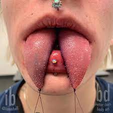 1 605 Me Gusta 45 Comentarios Ian Bell Ianmbell En Instagram I Ve Got A Pile Of Fresh Tongue Split Photos Waiting To Body Modifications Nose Ring Body