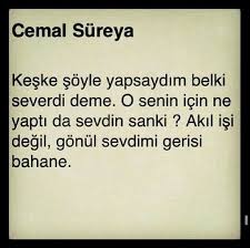 Cemal Sureya Ozlem Cemal Ozlem Sureya Turkish Quotes Words Life Motto