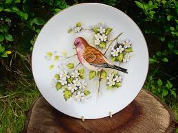 Royal Worcester Bird Plate Collectible Plates Decorative Bird Plates Vintage Plates Collectable Plates