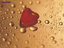 Image result for tbn:NPPRMe2lt8--qM::gallery.dll3.com/data/media/5/mw40_L.jpg