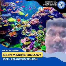 Ichthceptional Memes for Piscine Themes