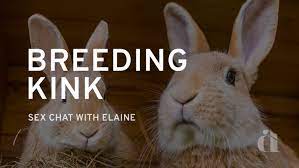 What does it mean to have a Breeding Kink? - Sex Chat With Elaine