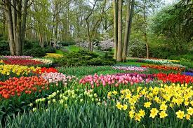 pin on les plus beaux jardins du monde