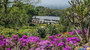 Kirstenbosch national botanical garden, newlands, cape town (south africa). Kirstenbosch Botanischer Garten Kapstadt In Sudafrika