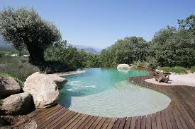 Retrouvez quelques une des plus belles réalisations de l'entreprise piscines marinal. Photo Piscine Familiale A Debordement