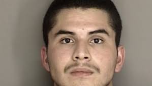 Salinas man gets two years in prison