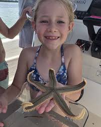 Water you waiting for? Dive into our underwater wonderland! Throw all that  decision making away and choose Reef Surfari! Only $99 to “Do It ALL” with  great people enjoying snorkeling the beautiful