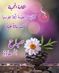 صباح النور والسرور والورد المنثور Good Morning Beautiful Flowers Good Morning Flowers Good Morning Beautiful Images