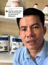 Cách khử phèn hiệu quả trong ao nuôi tôm