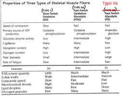 Print Physiology Of Exercise Exam 1 Flashcards Easy Notecards