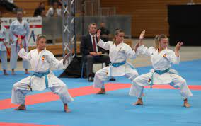 Kyokushin practitioners also believe that kata allows students to. Karin Prinsloo Karateka Wikiwand