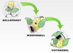 Ranking The Pokemon Go Evolutions Pokemon World