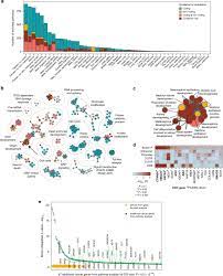 Check spelling or type a new query. Integrative Pathway Enrichment Analysis Of Multivariate Omics Data Nature Communications