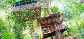 Jungle Jive Tree House Munnar, Munnar – Updated 2024 Prices