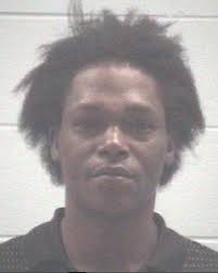 11 sentences by Muskegon County Circuit Judge William C. Marietti