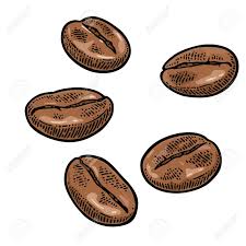 Coffee Beans Hand Drawn Sketch Style Vintage Vector Color Engraving Illustration For Label Web Engraving Illustration Cute Designs To Draw How To Draw Hands